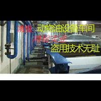 目前榨骨机配置 目前牛油炼油锅推广价格 