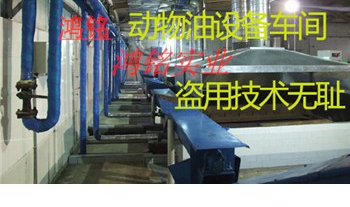 目前榨骨机配置 目前牛油炼油锅推广价格 