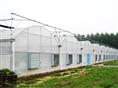 绍兴温室大棚 绍兴玻璃温室 绍兴温室餐厅 绍兴塑料温室大棚 绍兴阳光板温室 
