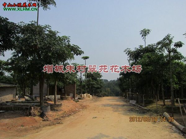 广东盆架子|“供应盆架子