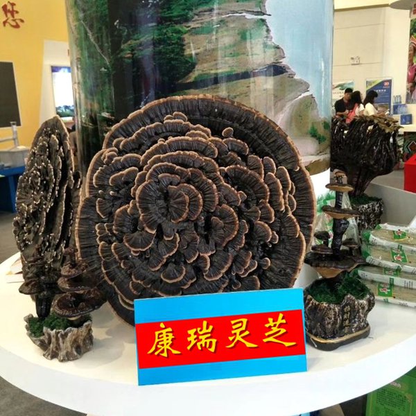 大型灵芝花摆件