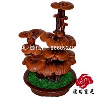 康瑞活体嫁接灵芝盆景 