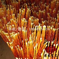 批发泰山赤灵芝 鹿角灵芝
