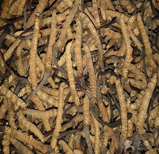 淄博回收购物卡,淄博回收冬虫夏草 