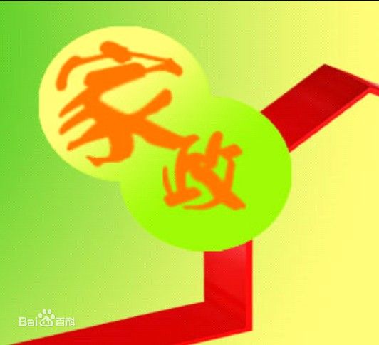 湖州家政公司 