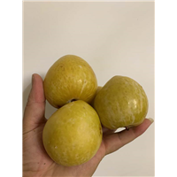 新品种李子苗价格 