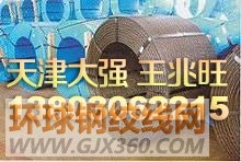 天津大强钢铁有限公司