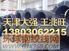 天津大强钢铁有限公司