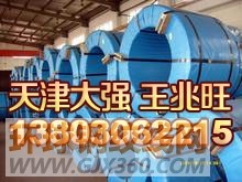天津大强钢铁有限公司