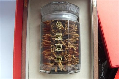 广州冬虫夏草回收