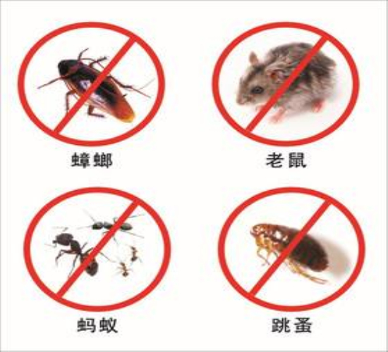 金华消杀公司