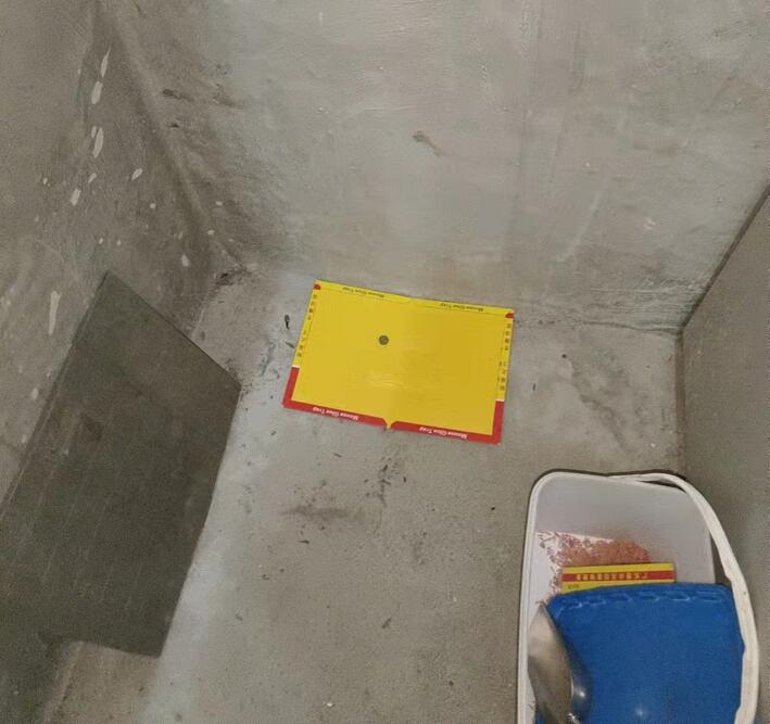 金华专业灭鼠公司电话
