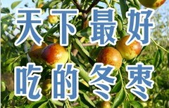 沾冬二号出圃要求 