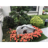福州景观石