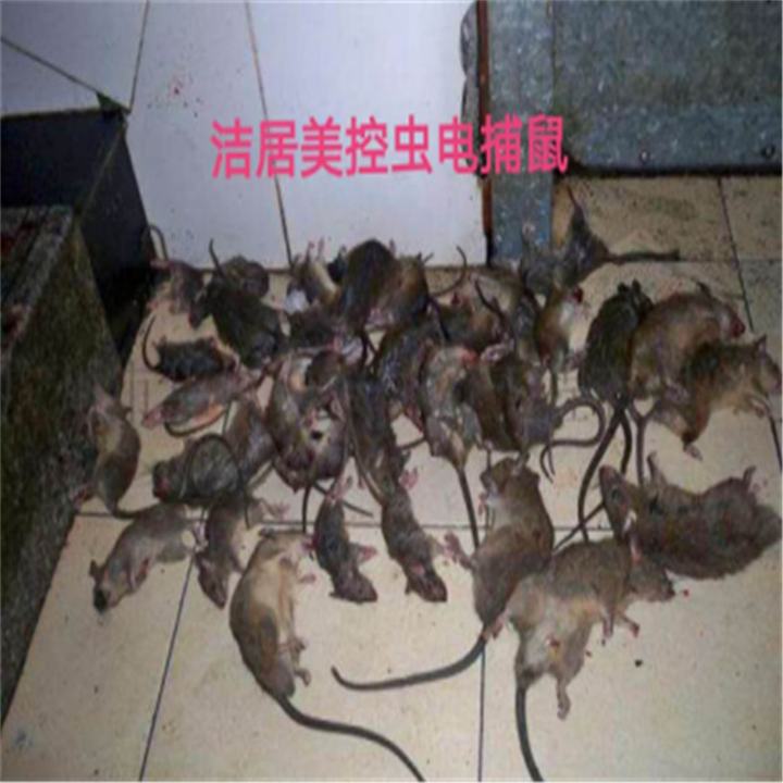 常州灭鼠