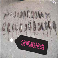 常州杀虫