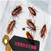 常州灭蟑螂