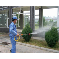 诸暨除虫公司