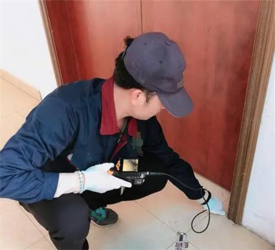 诸暨灭鼠公司