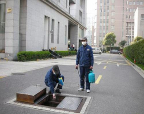 诸暨灭老鼠公司