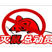 诸暨专业灭鼠