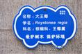hyxb7