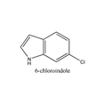 6-氯吲哚 6-Chloroindole CAS NO.:17422-33-2 