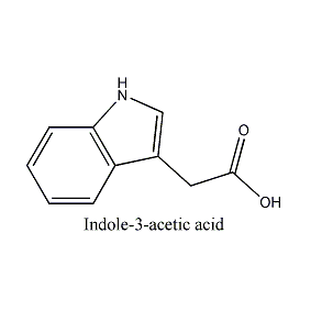 吲哚-3-乙酸 CAS NO.:87-51-4 