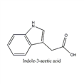 吲哚-3-乙酸 CAS NO.:87-51-4 