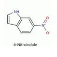 6-硝基吲哚 CAS NO.:	4769-96-4 