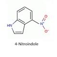 4-硝基吲哚 CAS NO.:	4769-97-5 