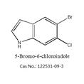 5-溴-6-氯-1H-吲哚 122531-09-3 