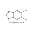 5,6-二羟基吲哚 CAS NO.:3131-52-0 