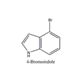 4-溴吲哚  4-Bromoindole  CAS号： 52488-36-5 