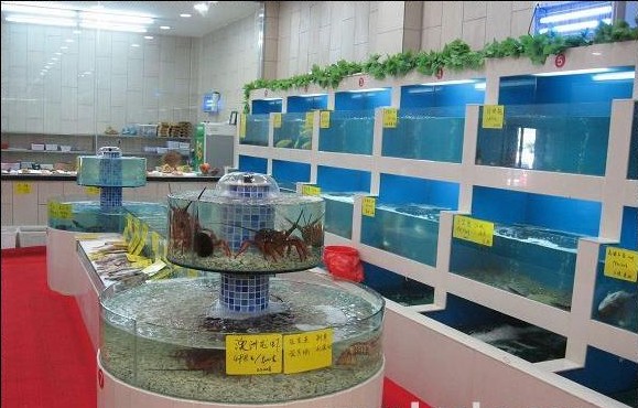≮青岛酒店鱼缸≯详情请登入：www.jinwanghansz.jqw.com 