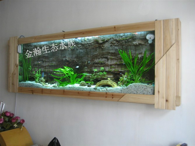 青岛鱼缸 