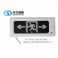 消防应急标志灯具单面双向指示（嵌入式）
