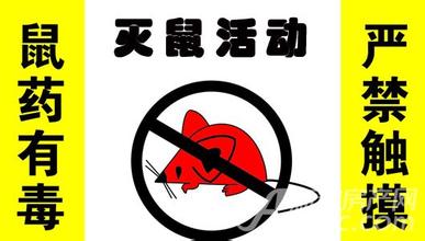 无锡灭鼠公司 