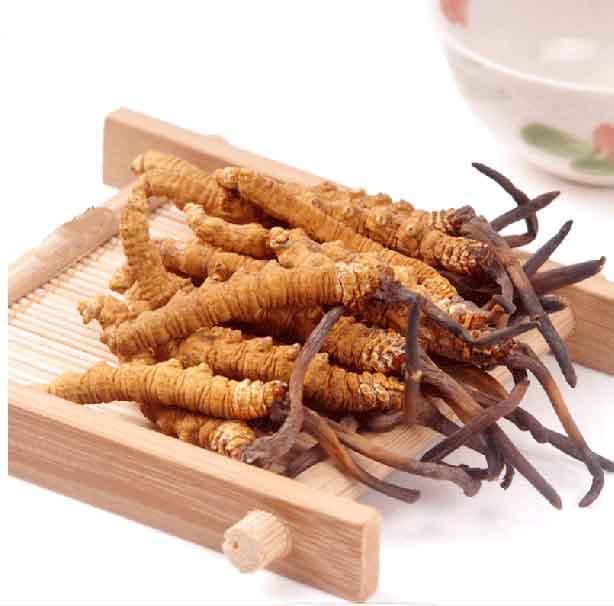 咸阳冬虫夏草回收 