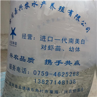 广东对虾苗批发_广东对虾苗养殖 
