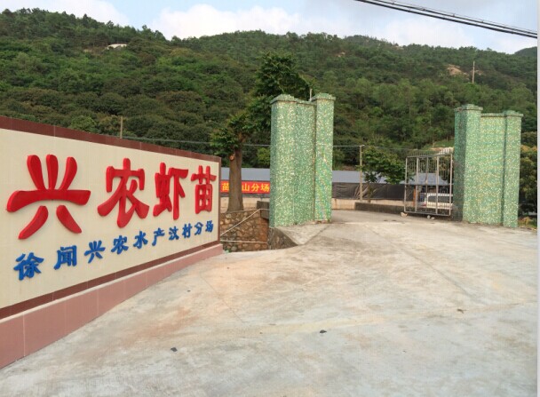 台山市兴农水产汶村分场 