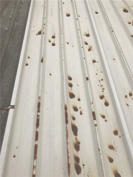 防腐瓦综合(5) 