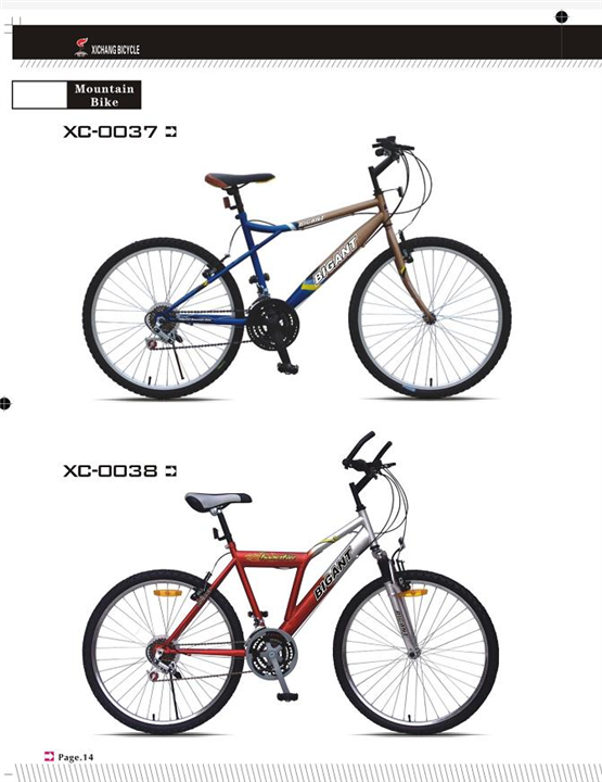 2022新款产品