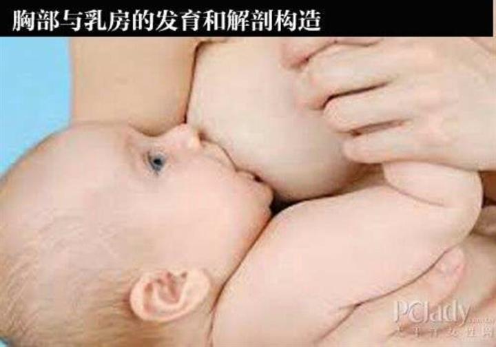 兰州专业催乳师