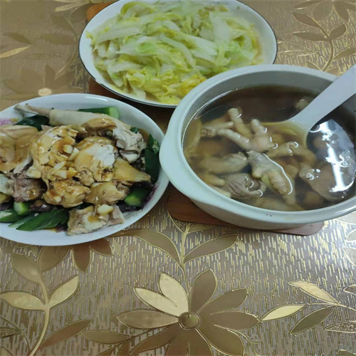 兰州专业的月嫂公司