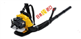 成都进口吹风机  日本凯姿BA650K吹风机 