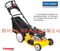 MTD自走草坪机  四川省MTD割草机 