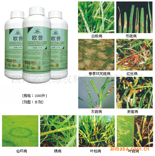欧普（广谱性杀菌剂） 成都绿篱机