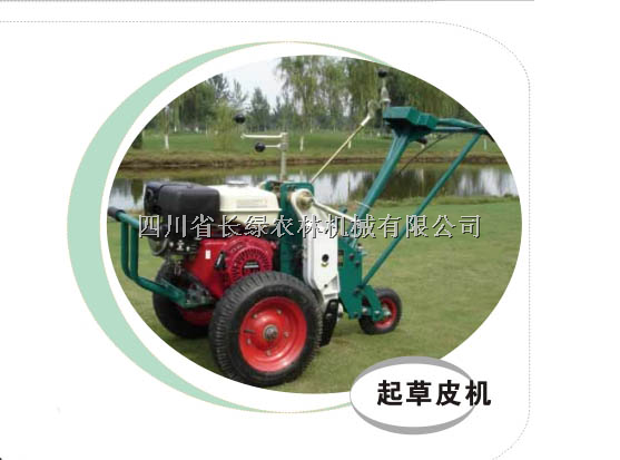 四川省起草皮机/成都起草皮机 