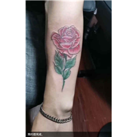 晋江纹身玫瑰花刺青